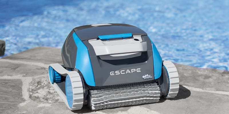 Dolphin Escape at the pool edge