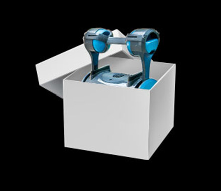 Dolphin robot in its original box