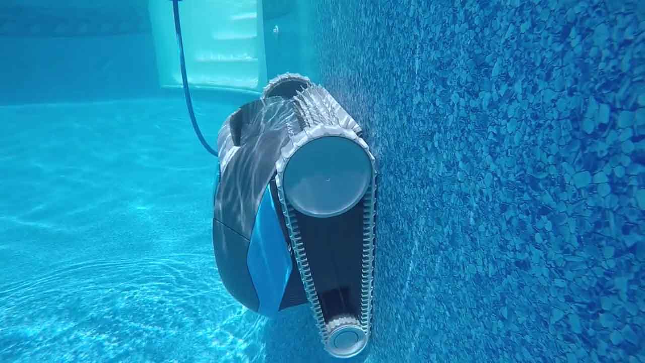Dolphin Cayman Product Video
