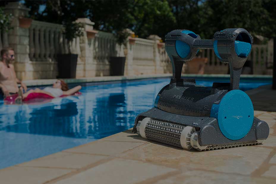 Top Dolphin Robot